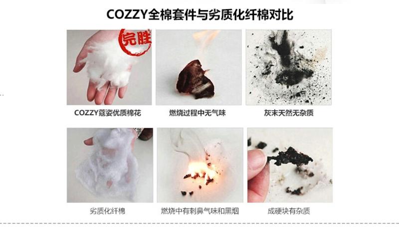 Cozzy蔻姿家纺 全棉斜纹印花四件套纯棉床上用品套件 帕劳的假期 1.8米