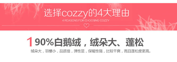 Cozzy蔻姿家纺至臻90%白鹅绒冬被1.8米