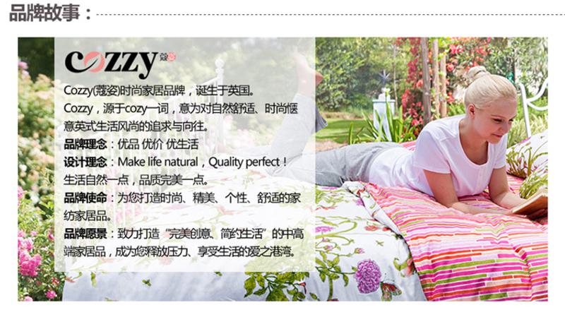 cozzy蔻姿家纺精品羽丝绒舒眠枕--多琳（只装）