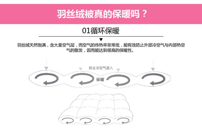 Cozzys蔻姿家纺亲肤羽丝绒冬被子芯220*240