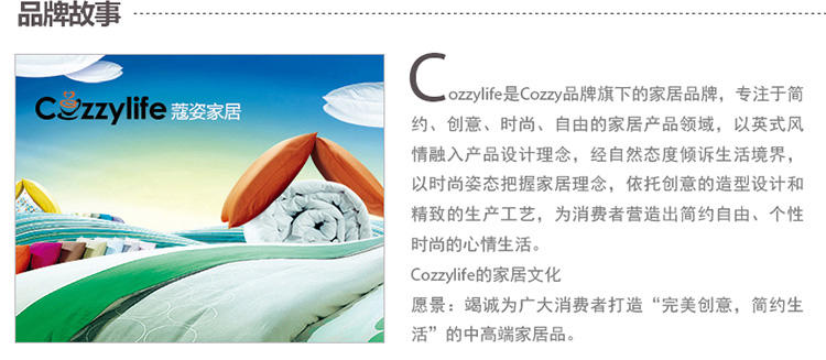 Cozzylife蔻姿家居 防水防油耐热免洗PVC桌布 100*150cm