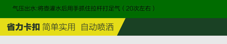 车旅伴 家用防疫消毒喷壶 手动气压式洗车器泡沫喷壶洗车泡沫 浇花洒水壶 2L HQ-C1201