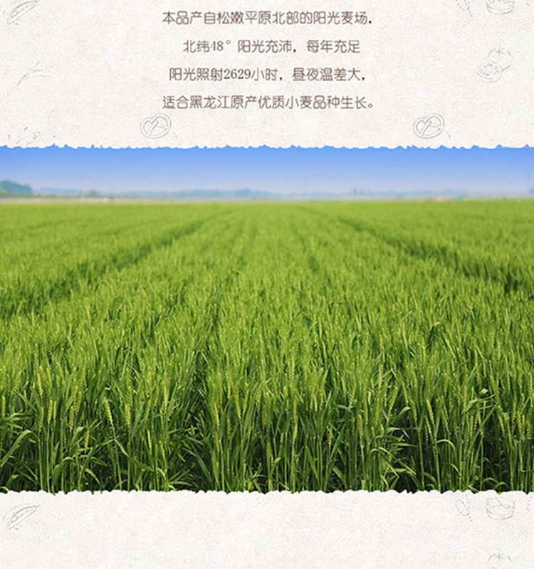 地道龙江绿色麦芯粉（中国饭儿）