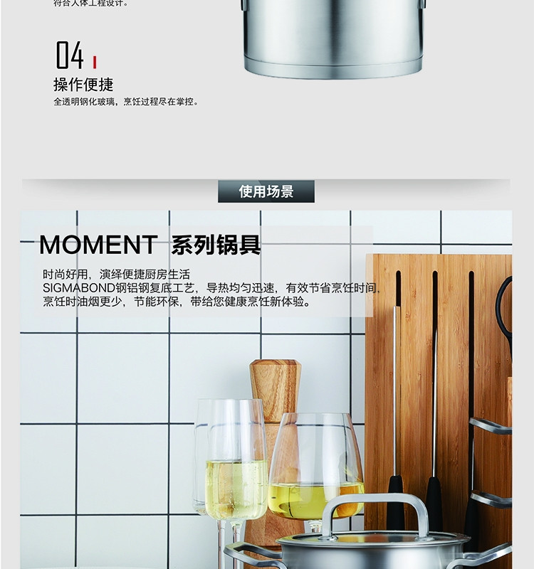 双立人 Zwilling Moment 20cm深烧锅ZW-C123 66603-200-922