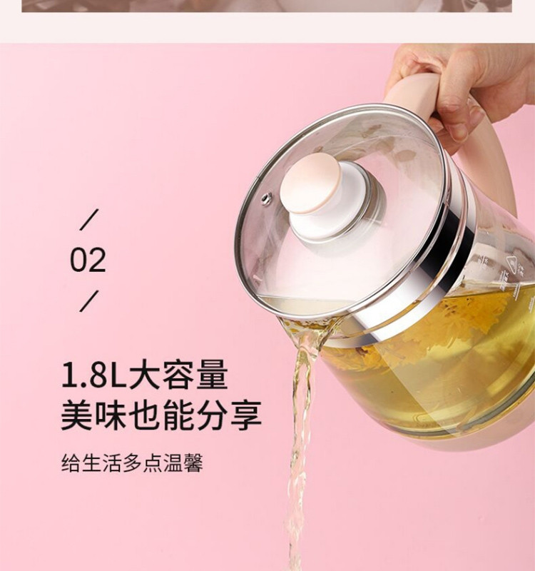 龙的（Longde）养生壶1.8L多功能电水壶烧水壶电热水壶煮茶壶花茶壶电茶壶 LD-YS1889