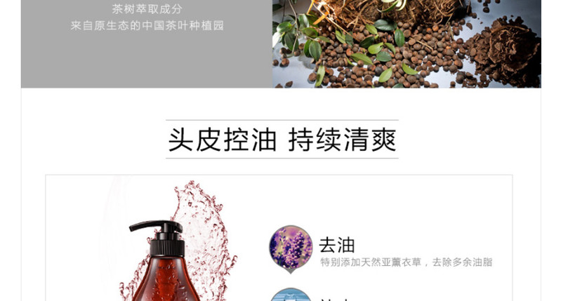 滋源茶籽洗发水无硅油控油去屑洗发露535ml