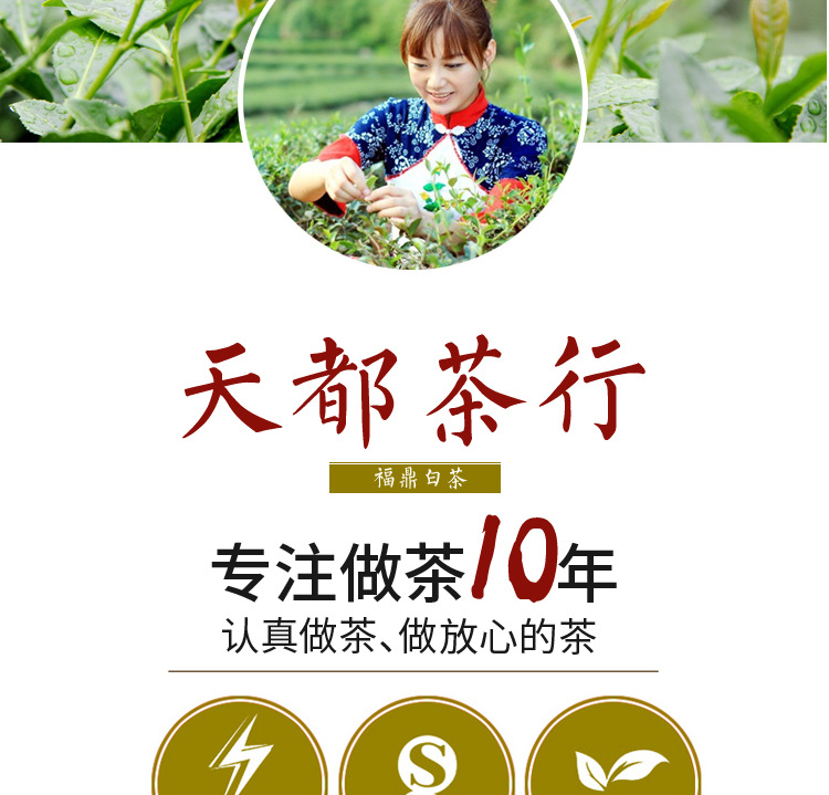 2015年产福鼎白茶野生白牡丹茶饼350克