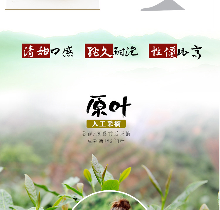 福鼎白茶寿眉饼350g  陈年高山养生茶 老白茶饼寿眉