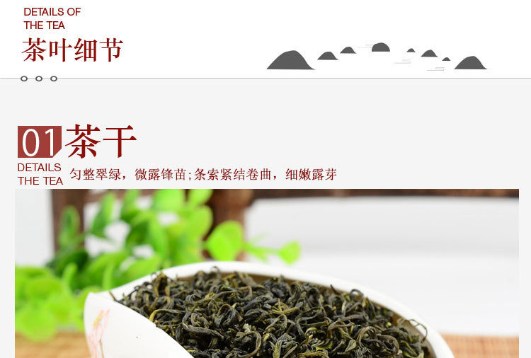 新茶福建优质云雾天然绿茶散装有机高山绿茶