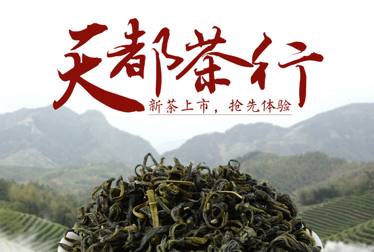 新茶福建优质云雾天然绿茶散装有机高山绿茶