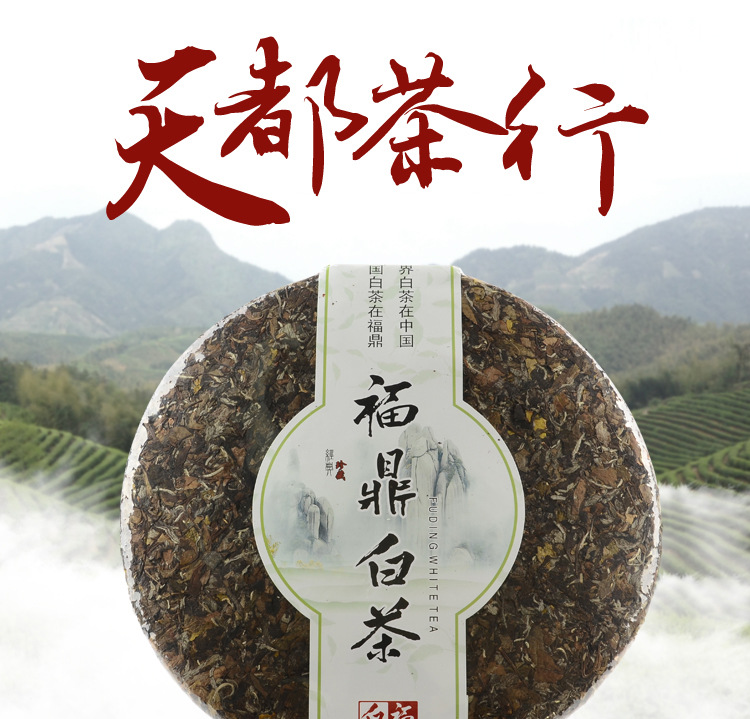 福建 2015年产陈年大茶饼 福鼎白茶高山老寿眉茶饼 六斤装 藏品