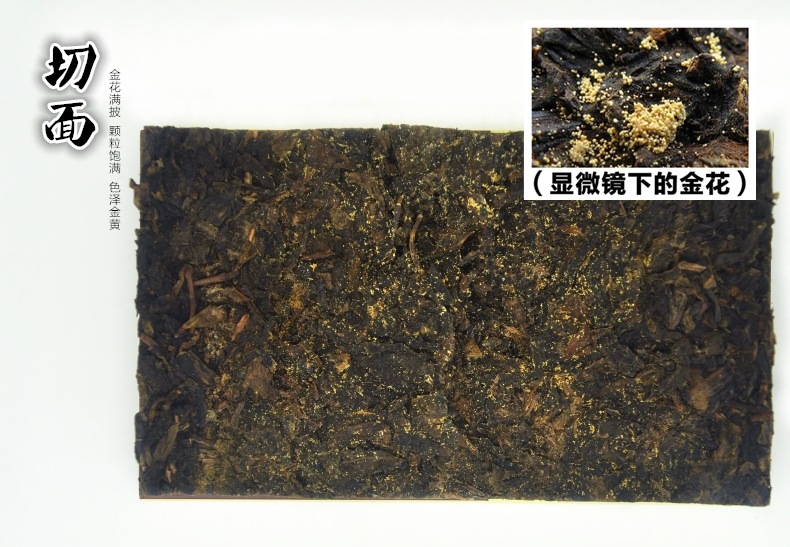 湖南特产 安化260g金花茯砖品质黑茶叶