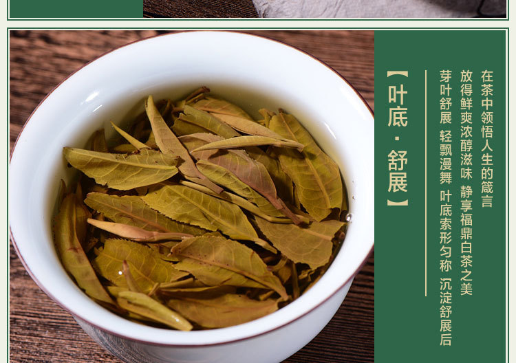 滑竹梁子普洱生茶精装小饼茶叶云南生茶普洱茶 古树茶纯料250g