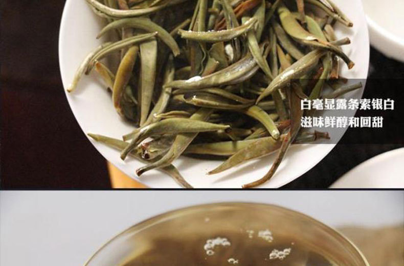 2015年春茶 单芽月光白 云南景谷大白茶 春茶秧塔白茶