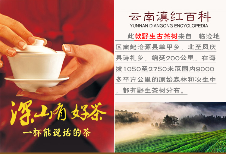 滇红茶  云南滇红茶 金芽 滇红茶叶100g 散装