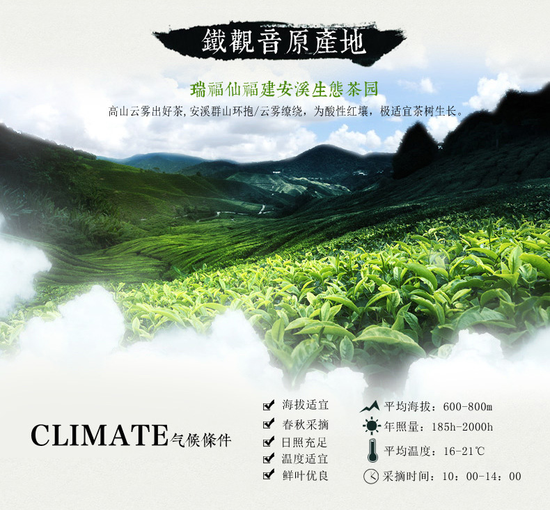 炭焙 茶叶乌龙茶500g 铁观音 高档礼盒时尚