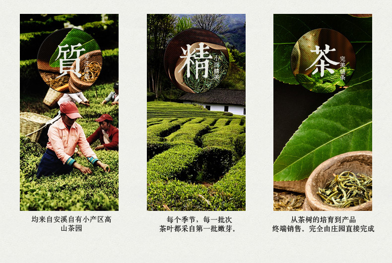 炭焙 茶叶乌龙茶500g 铁观音 高档礼盒时尚