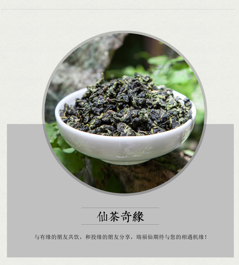 安溪铁观音 清香型秋茶 新茶 乌龙茶50g罐装 茶叶