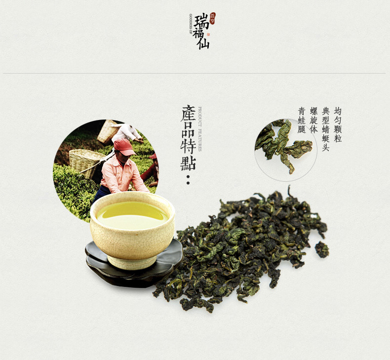 安溪铁观音 清香型秋茶 新茶 乌龙茶50g罐装 茶叶