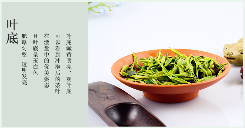 春茶 绿茶霍山黄芽袋装茶叶100g