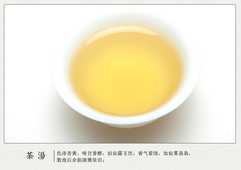 铁观音 安溪铁观音清香乌龙茶 礼盒装250g茶叶