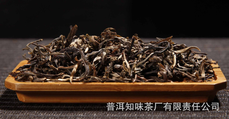 普洱生茶500g 五号基地大叶古树茶 云南普洱茶叶