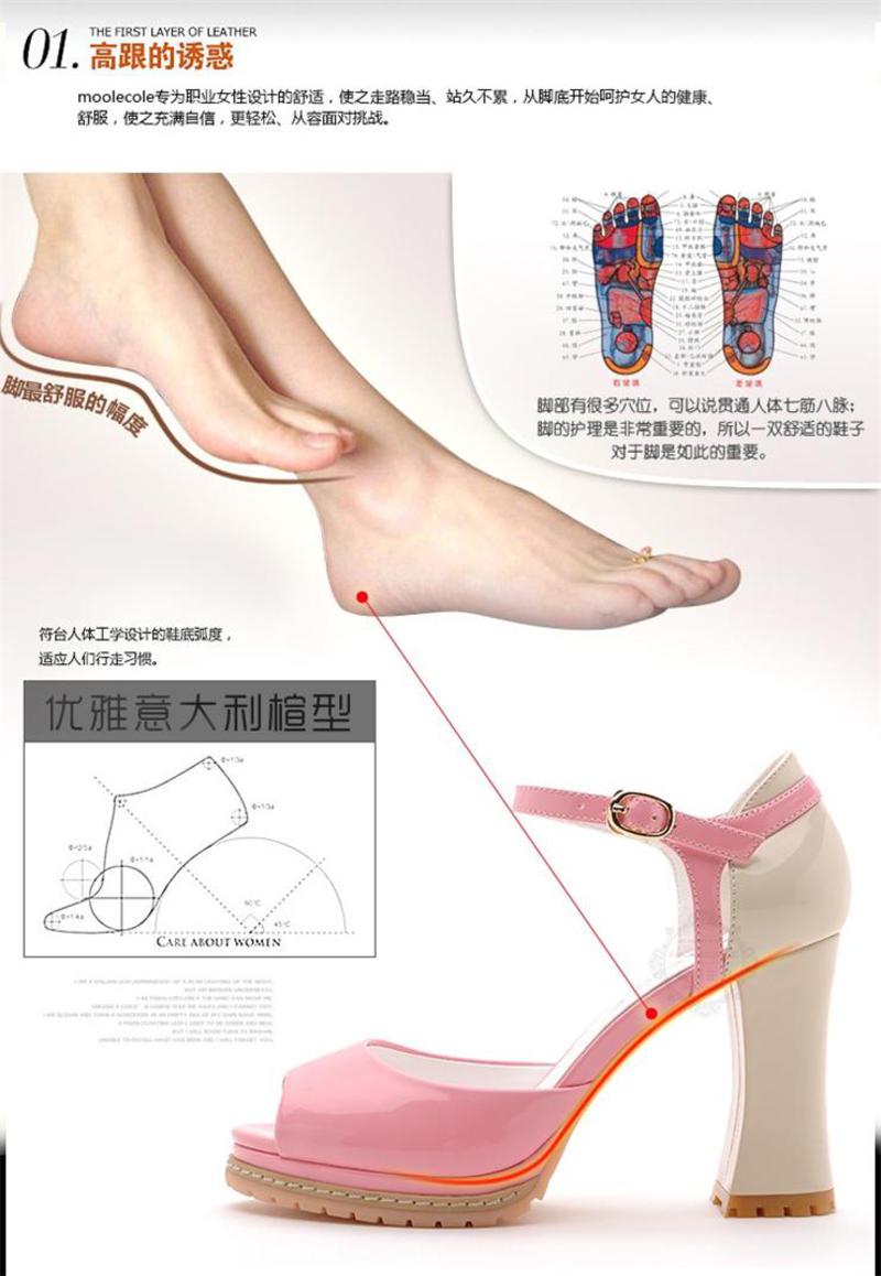  【天天特价】莫蕾蔻蕾 2014夏季新款时尚女鞋凉鞋韩国公主性感粗跟高跟鞋防水台鱼嘴鞋单鞋