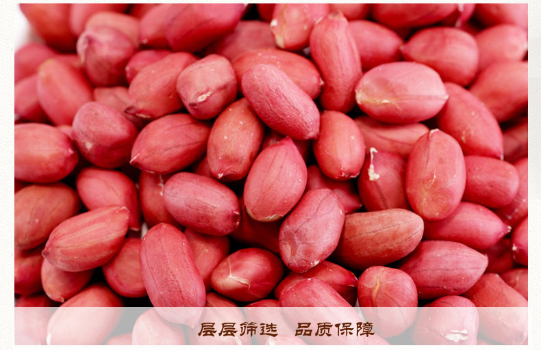 塞翁福 红皮花生米400g*4 包生花生仁 XS117