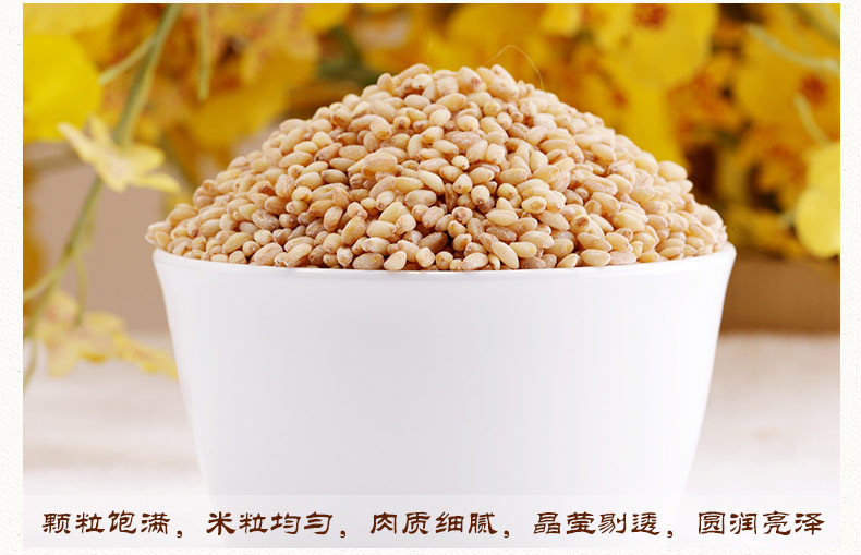 塞翁福小麦仁400g 米仁杂粮粗粮颗粒饱满XS113