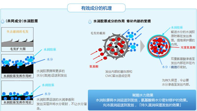 资生堂水之密语凝润水护补水保湿洗发水  200ML