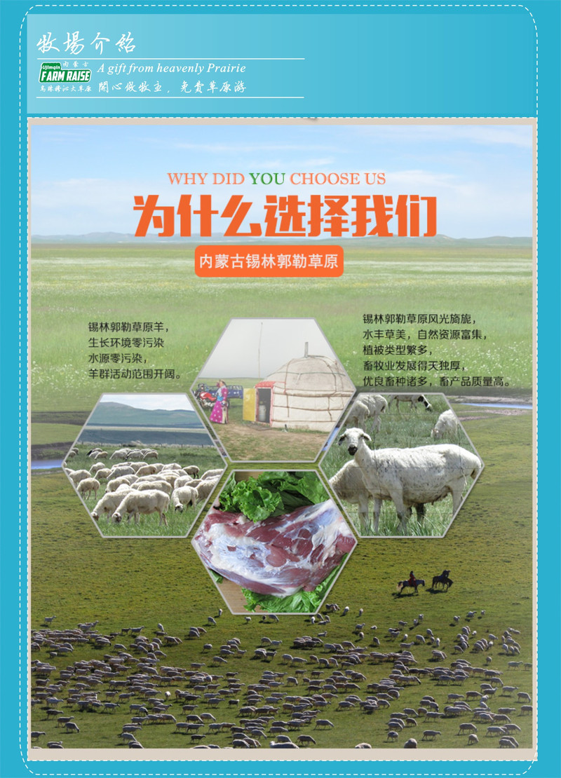 【鲜从草原来】【草原小土豪套餐】草原羊1只 20亩内蒙古大草原草场6个月产出