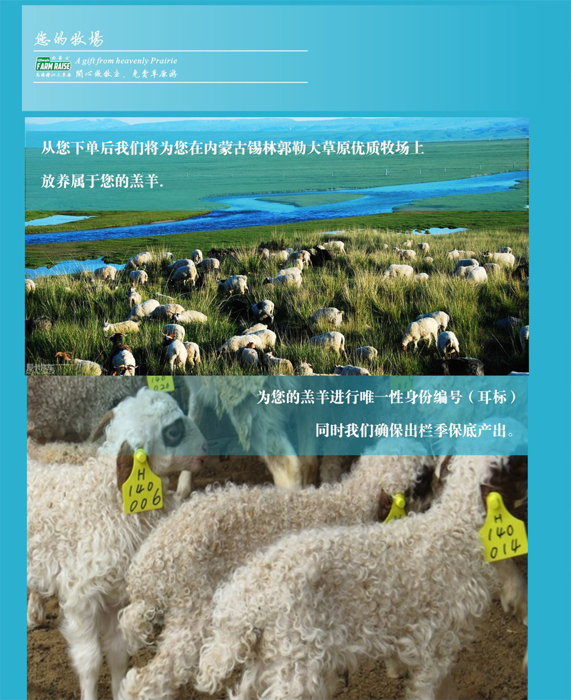【鲜从草原来】【草原小土豪套餐】草原羊1只 20亩内蒙古大草原草场6个月产出