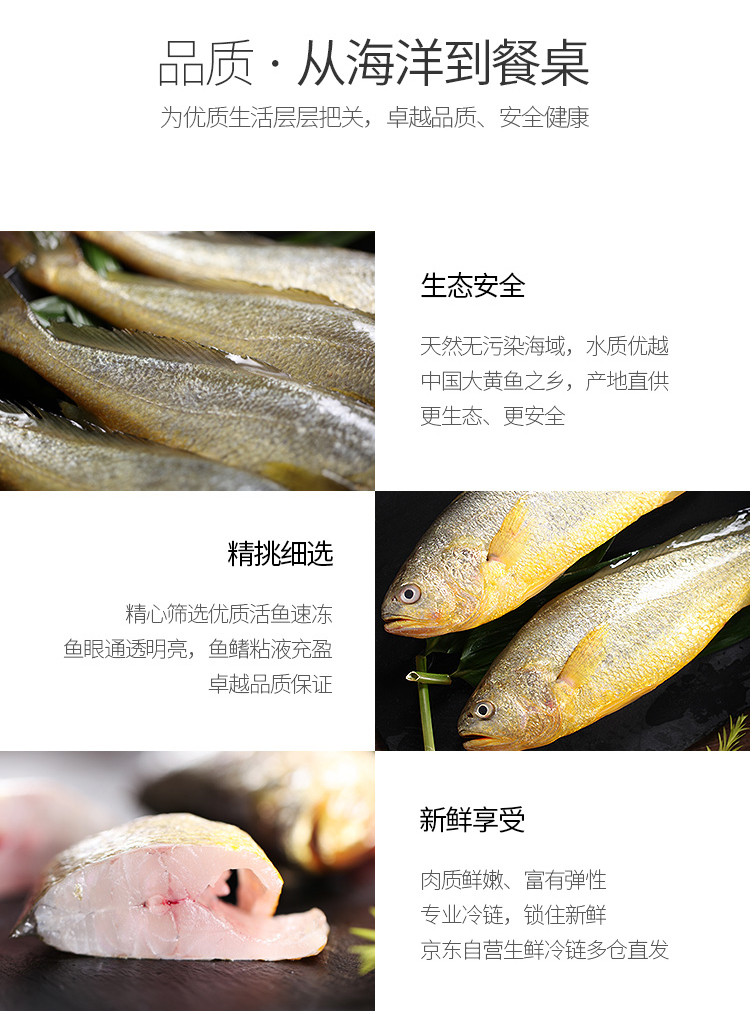 海之兴-大黄鱼400-600g*2