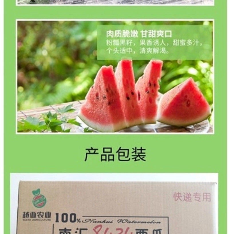  【上海邮政】 邮政农品 南汇8424 两枚装（13斤及以上）