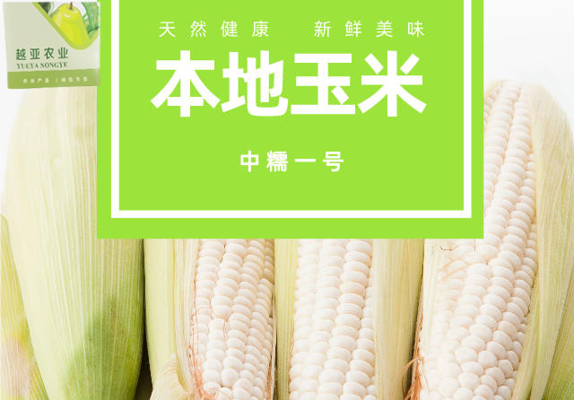 【上海邮政】 越亚 本地鲜玉米（10斤装）