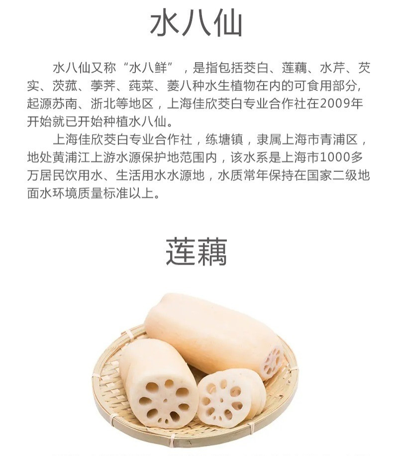  【上海邮政】 普园佳味 线上水八仙礼盒装B（莲藕4斤、茭白2斤、莲蓬1斤