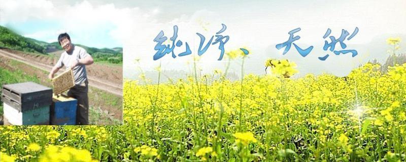 [老山珍]油菜花蜂花粉250g