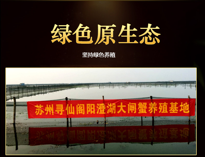 寻仙阁阳澄湖大闸蟹公3.5-4.0两母2.5两4对装礼盒装