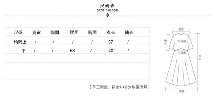 WZSY 修身纯色长袖圆领穿裙两件套2016年秋季