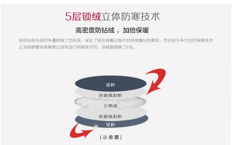 WZSY 白鸭绒修身涤纶拉链带毛领口袋2016年冬季套装/套裙