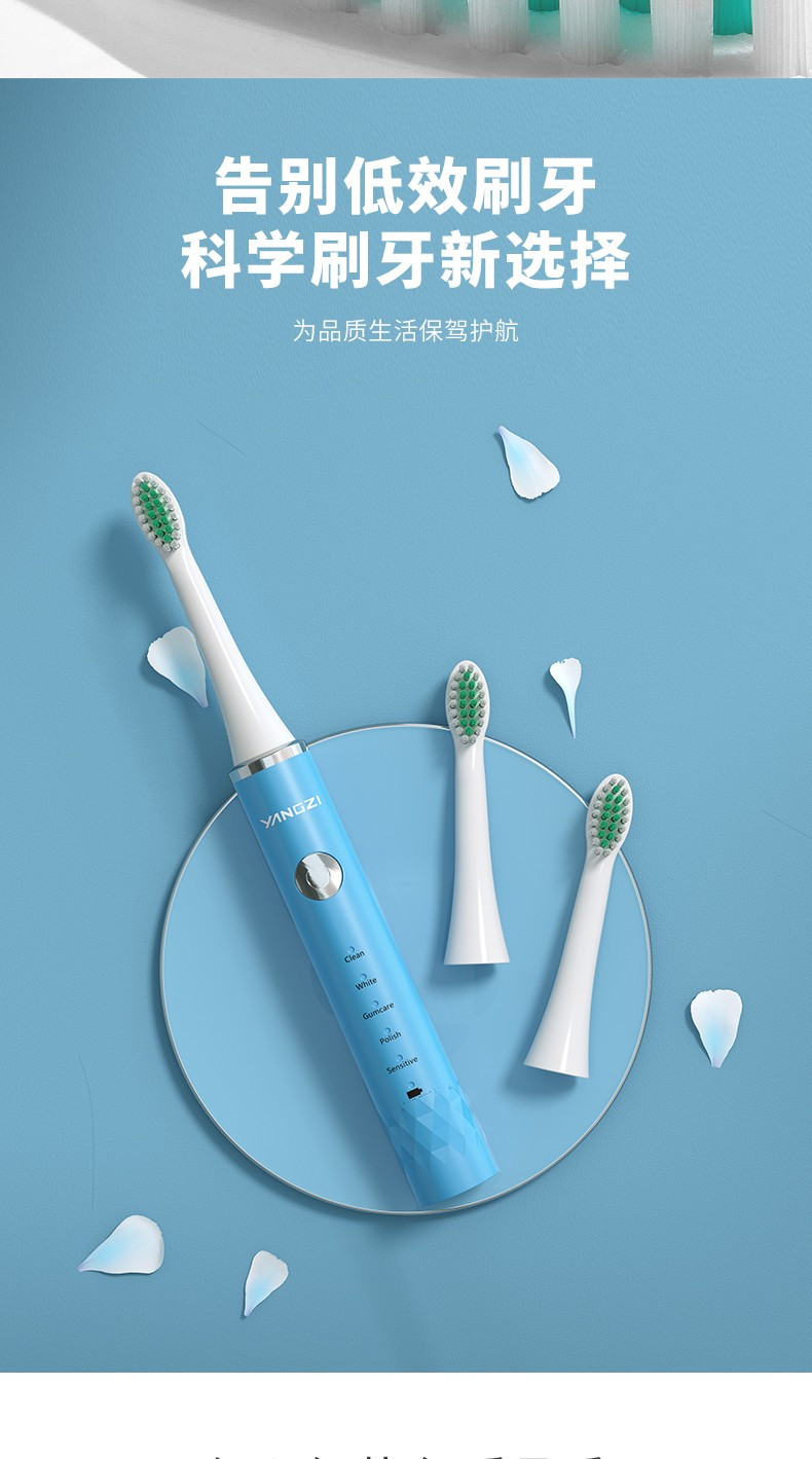 扬子(YANGZI) 电动牙刷（充电款）蓝色  DFC-001