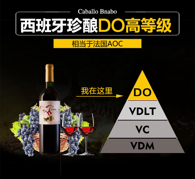 西班牙原瓶进口红酒 醉高DO级 精选干红葡萄酒单支 送原木礼盒装YHS008