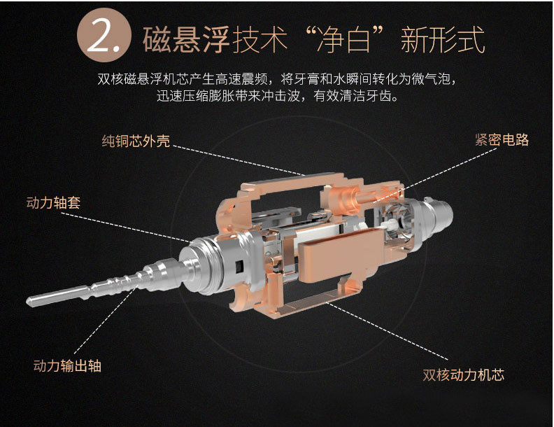 赛嘉 S8 电动牙刷成人款智能5档清洁