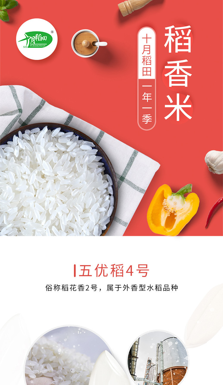 十月稻田 东北优质稻香米5kg