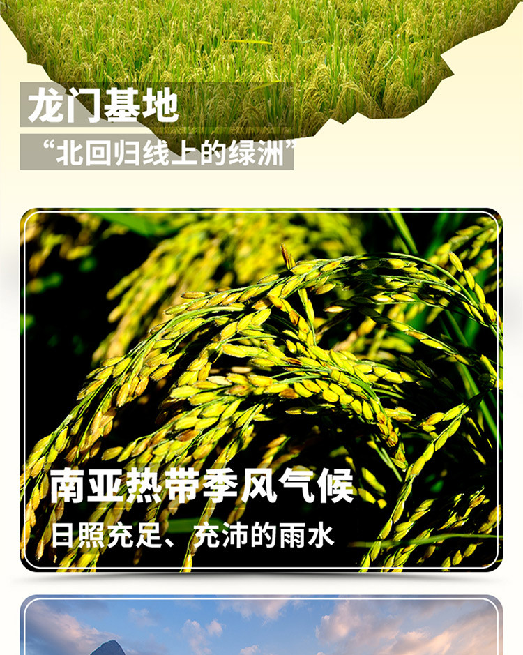 袁隆平大米 隆平农场龙门基地10斤南方优质稻美香占大米龙门大米5kg