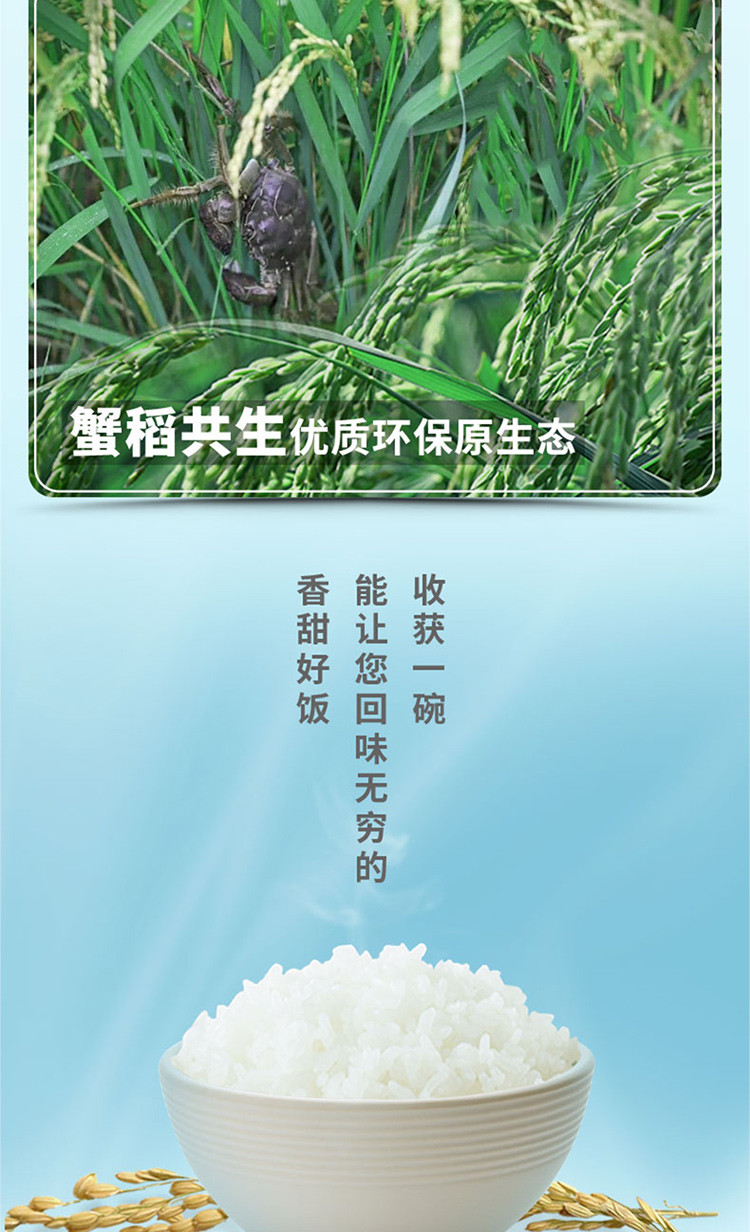 袁隆平大米 隆平农场辽河基地 东北大米2.5KG