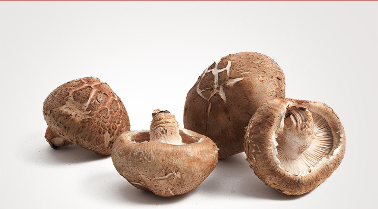 禾煜 珍珠菇98g/袋  古田小香菇  金钱菇 肉厚味香蘑菇