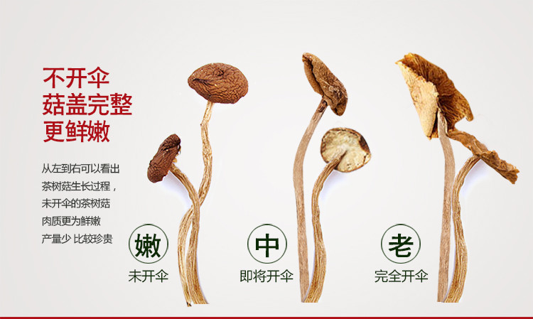 禾煜 茶树菇150g