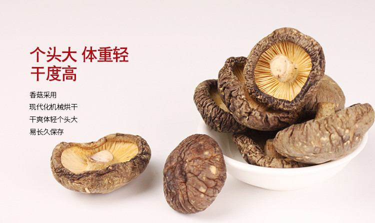禾煜 珍珠菇98g/袋  古田小香菇  金钱菇 肉厚味香蘑菇