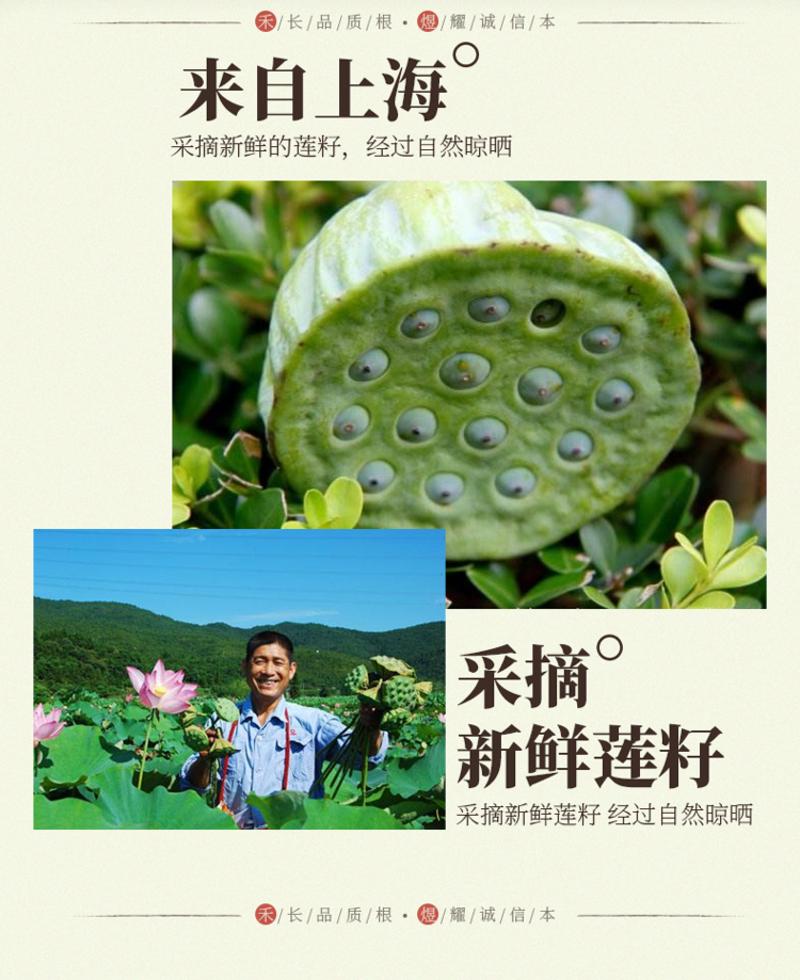 禾煜 莲籽50g 无芯磨皮莲子 新品